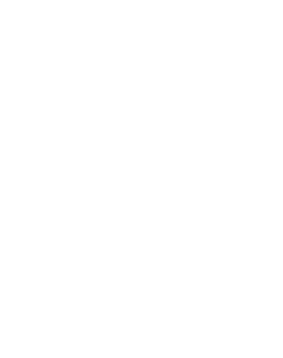 RAD FLAG GALLERY